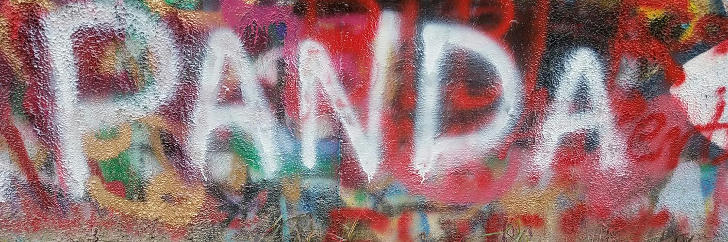 elpandavid's profile banner image