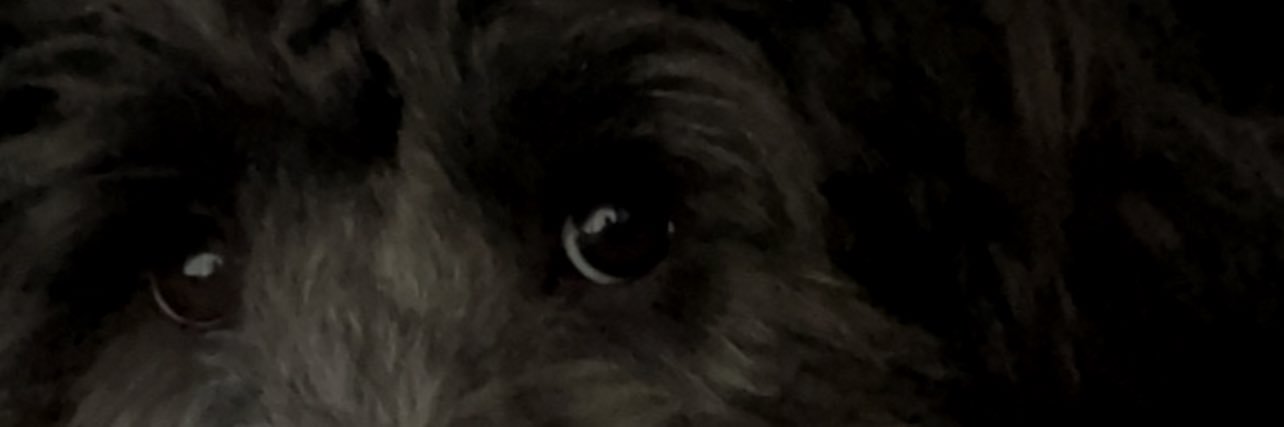 kiranchimaa's profile banner image