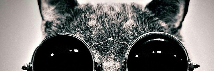 AnMarisel's profile banner image