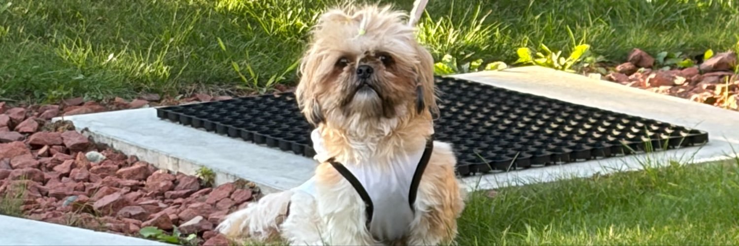 puruc0rgi's profile banner image