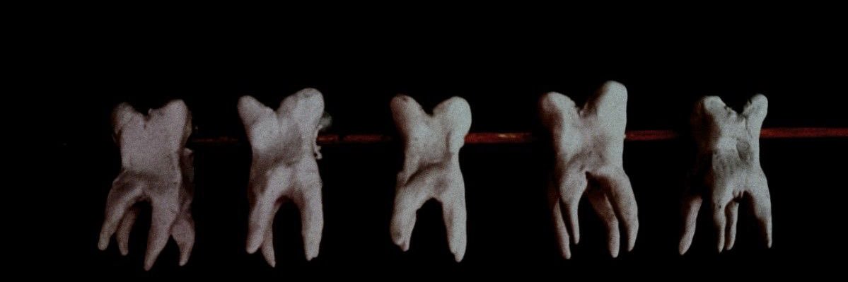 Larry 𓈒 ⌖ ᵎᵎ ⌗drugtwt ⌗shedtwt banner