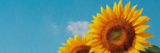 RyanJunejo's profile banner image