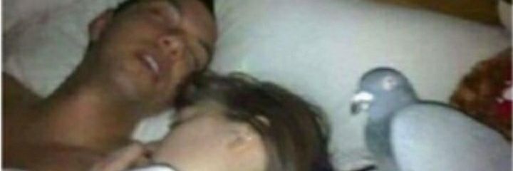 silviosolano's profile banner image