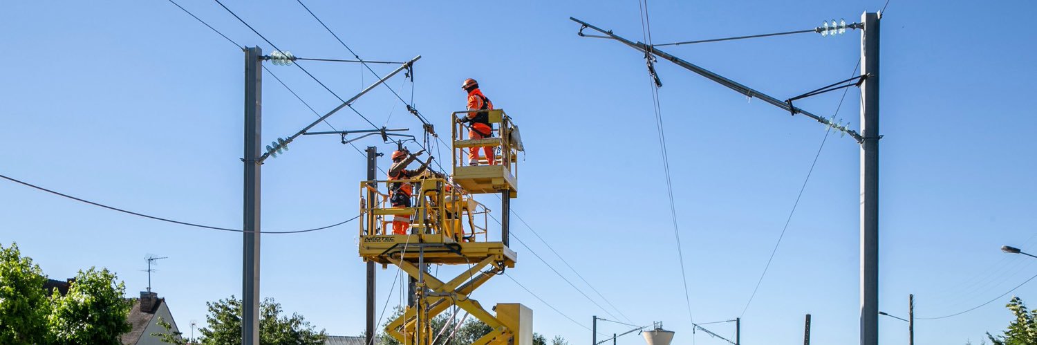 Tiphaine de Rostolan banner