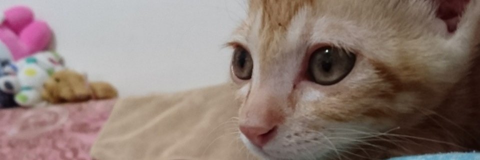 bernice8843's profile banner image
