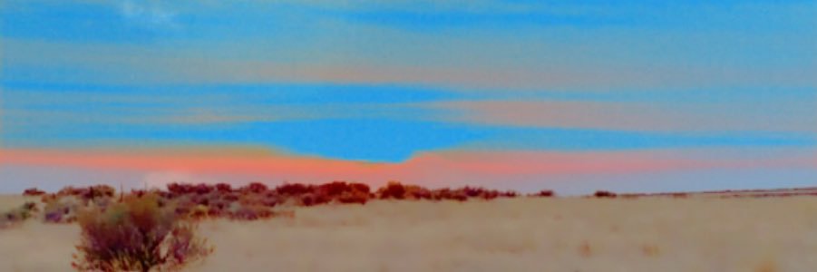 bronkhorstwyatt's profile banner image