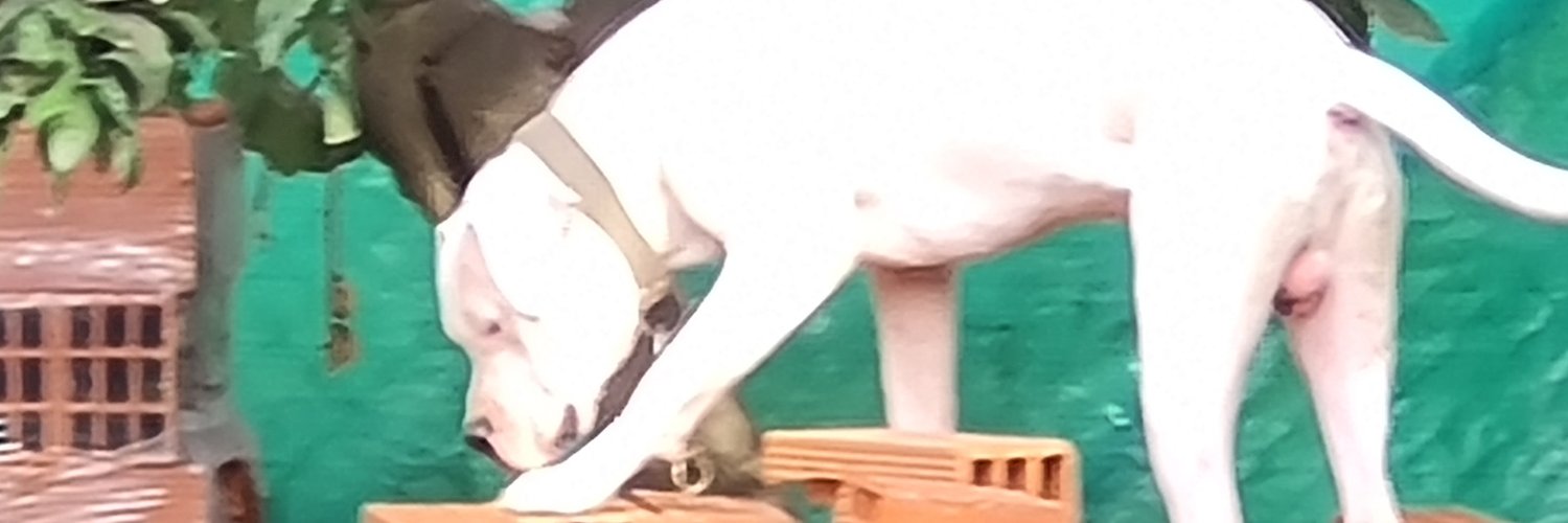 ancarona's profile banner image
