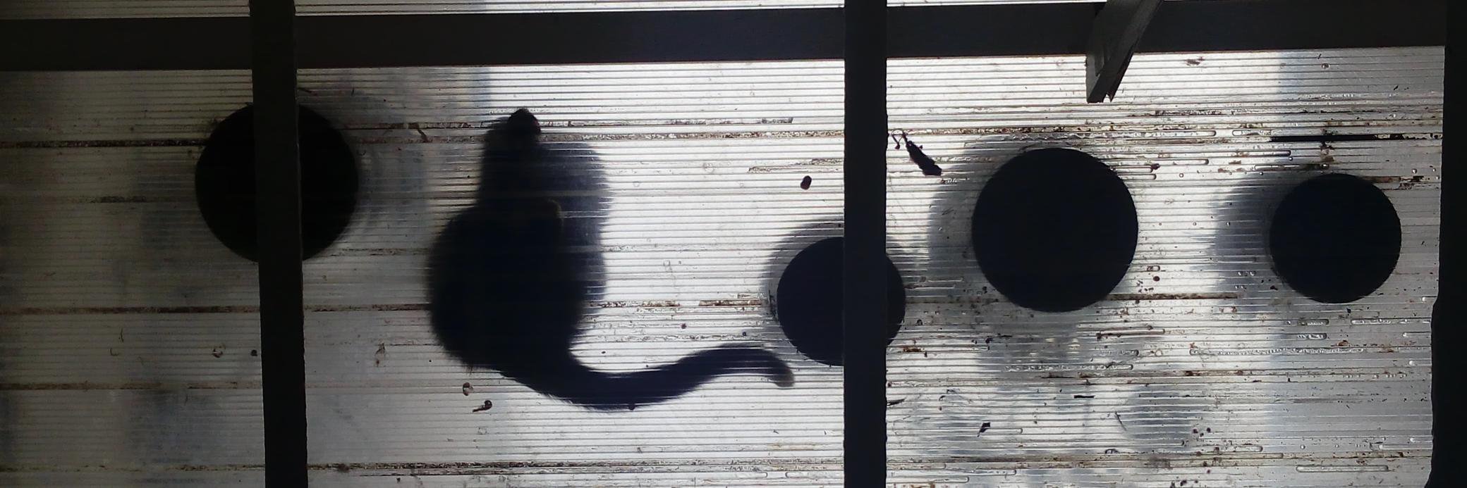 Elisa T Hernández banner