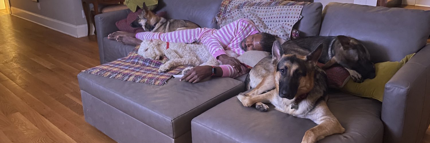 danimal black banner