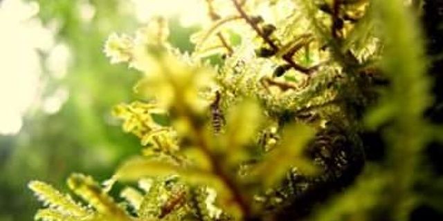 OakleyHellfire's profile banner image