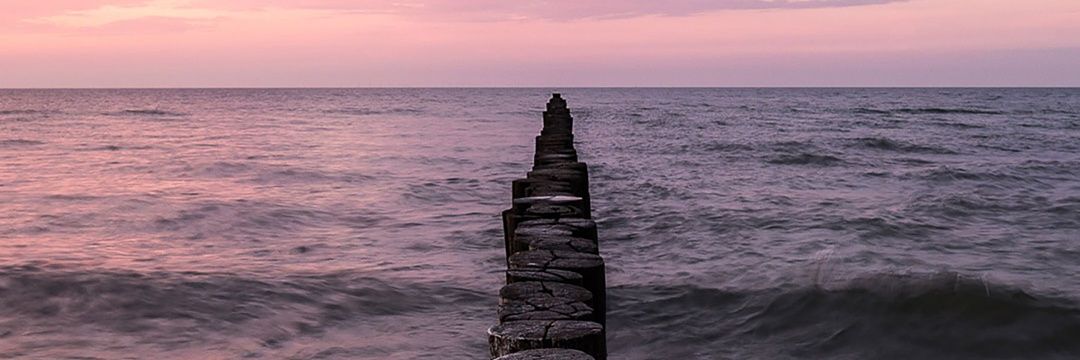 estiven_arce's profile banner image