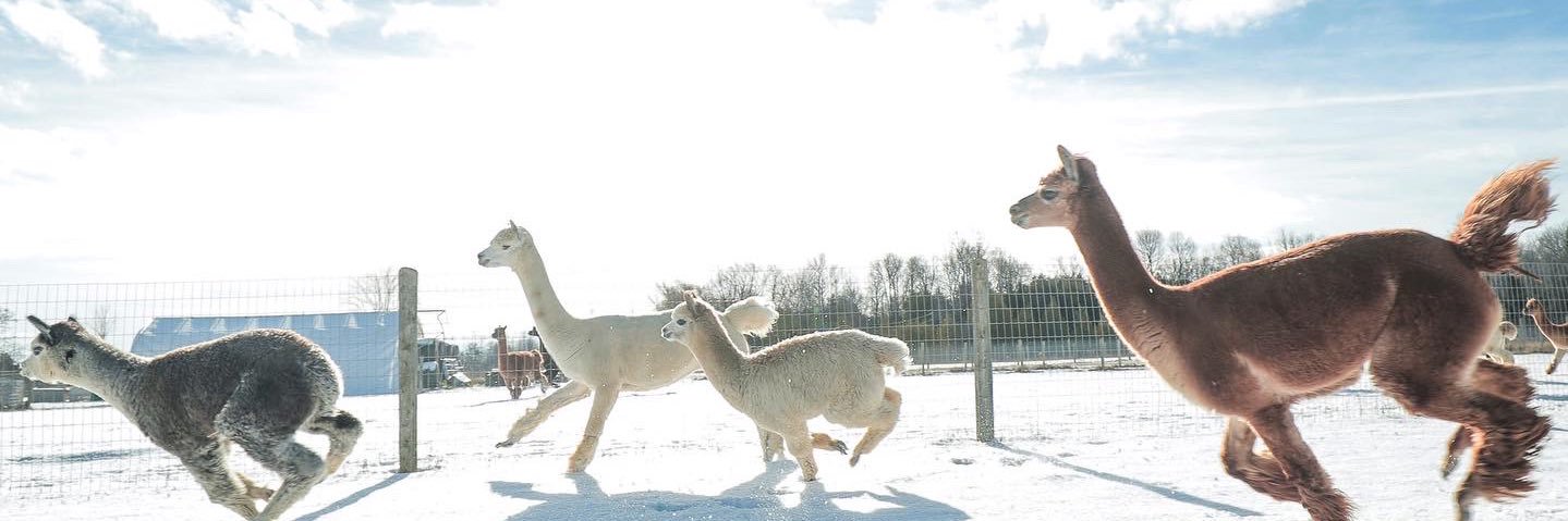 York Durham Headwaters banner