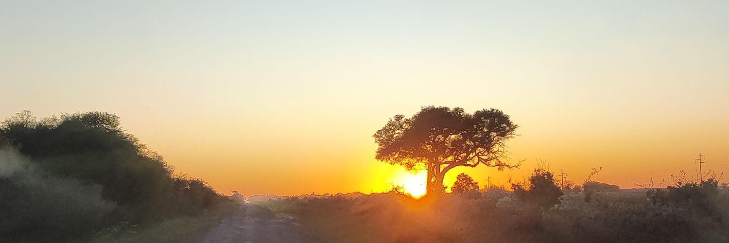 MauroSchererr's profile banner image