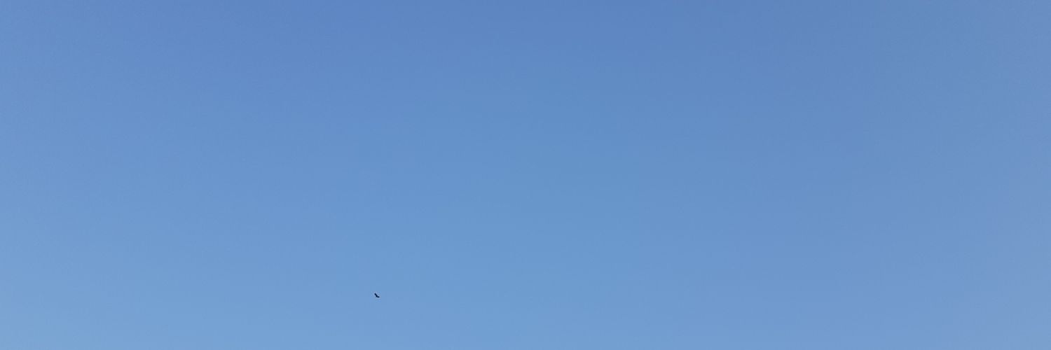 nofoodsecurity's profile banner image
