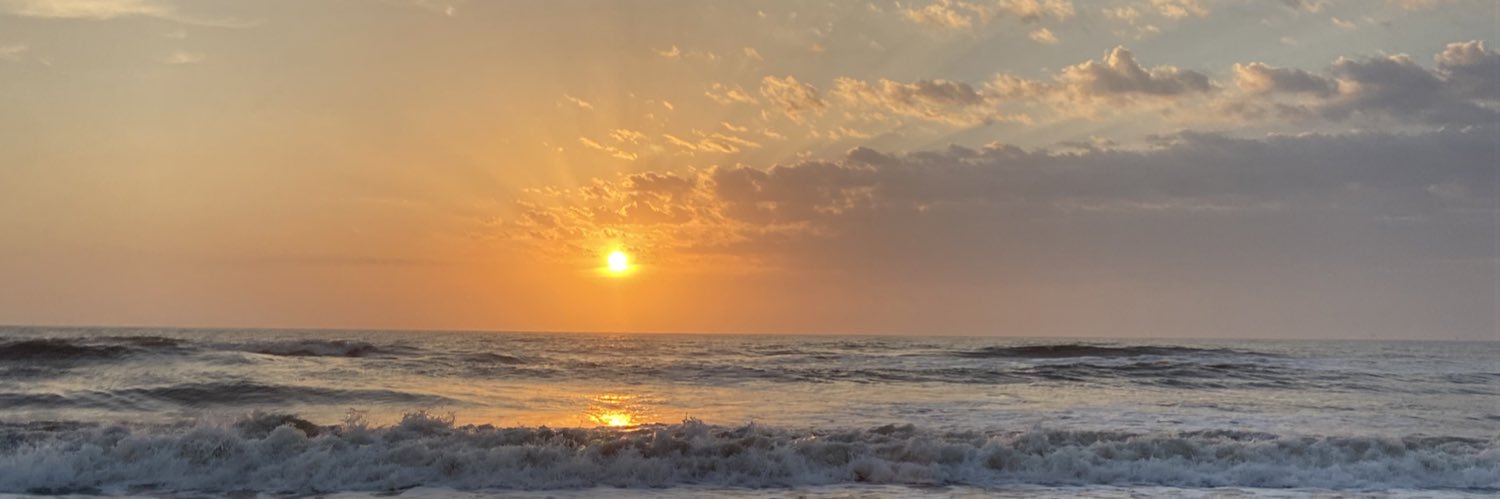 Micaeichhorn's profile banner image