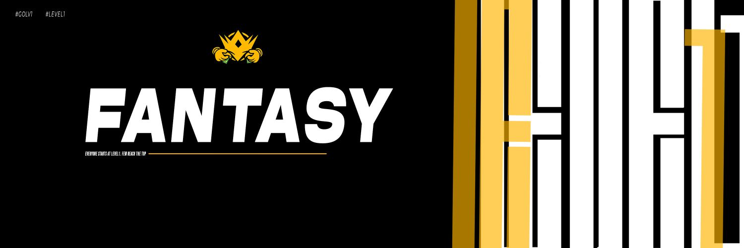 Só sigo falido banner