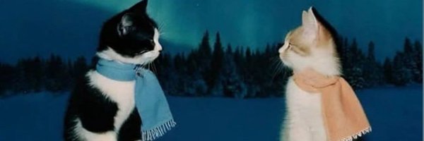 randomaxu Profile Banner