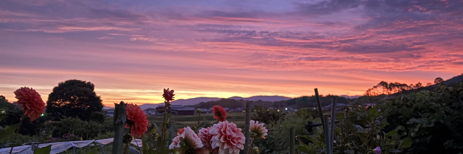hattanco's profile banner image