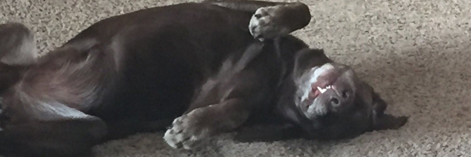 kenoconn's profile banner image