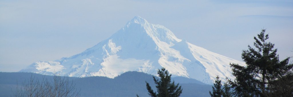 John R. Platt banner