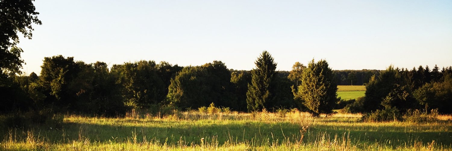 FeilerOliver's profile banner image