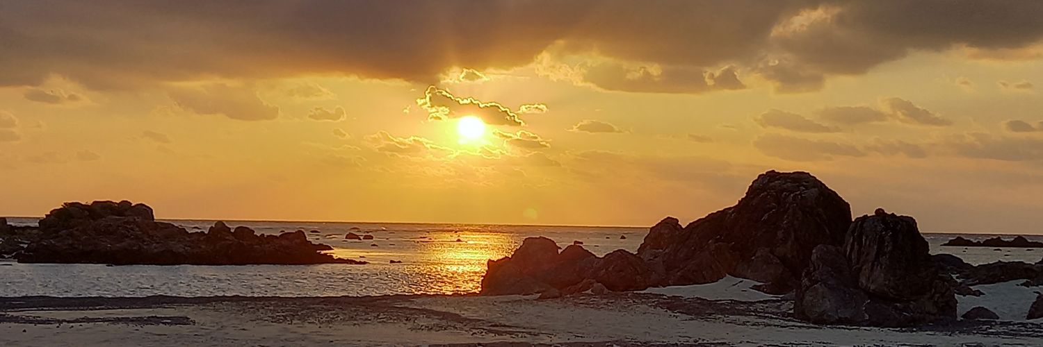 leominako's profile banner image