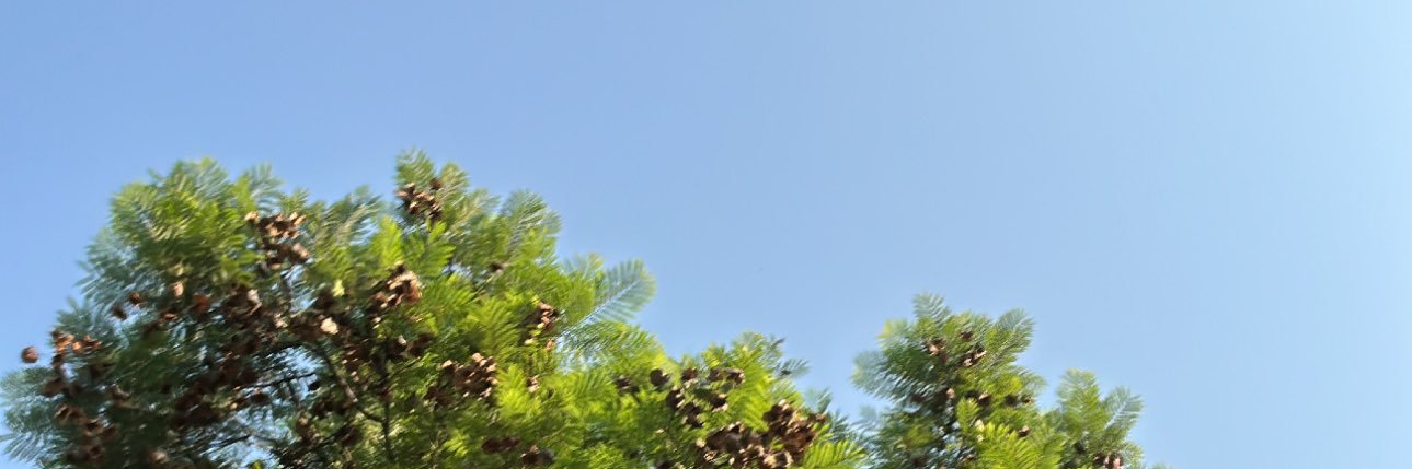 mnccsv's profile banner image