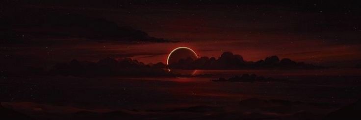 stelifed's profile banner image