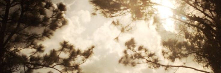 alba;'s banner