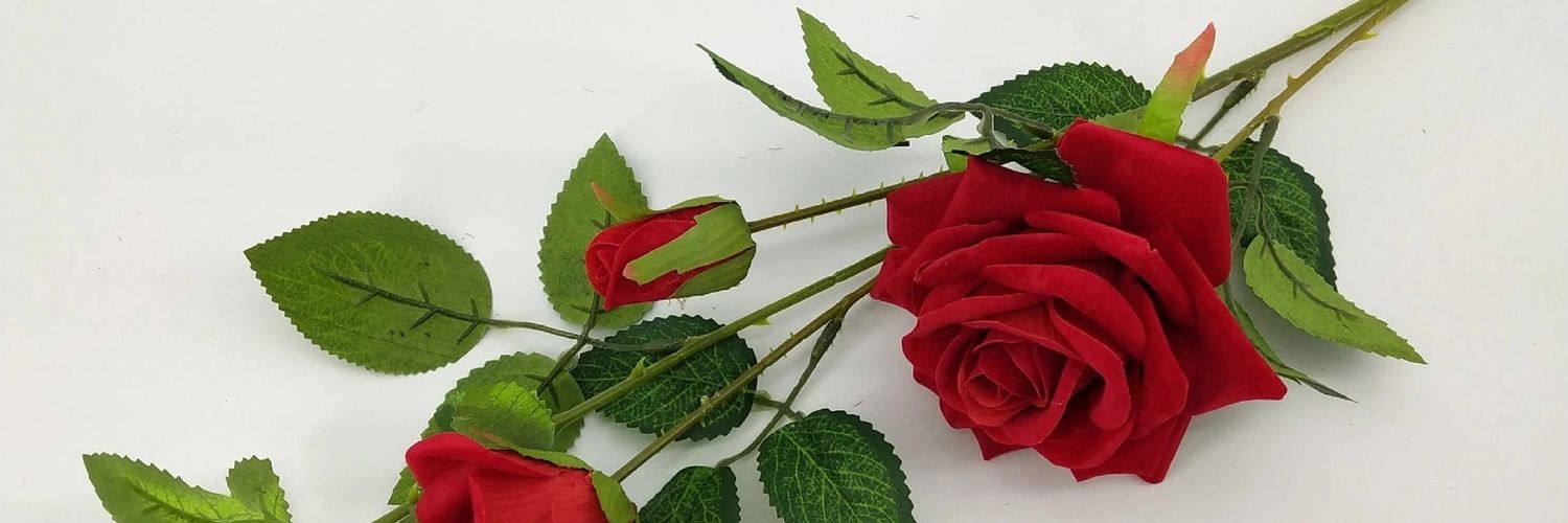rby73's profile banner image
