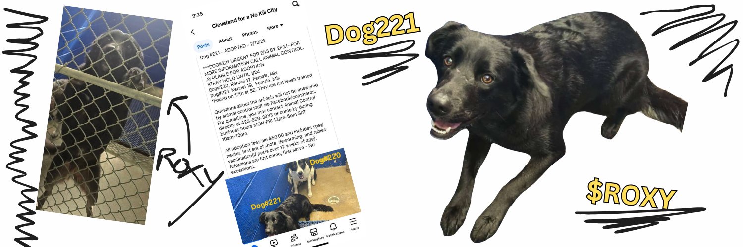Dog221Token's profile banner image