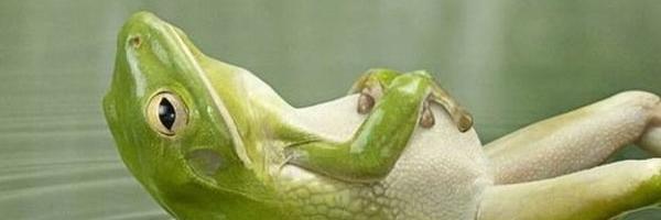 SapoRubio's profile banner image