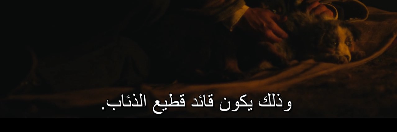 CEO شركة الذئاب banner