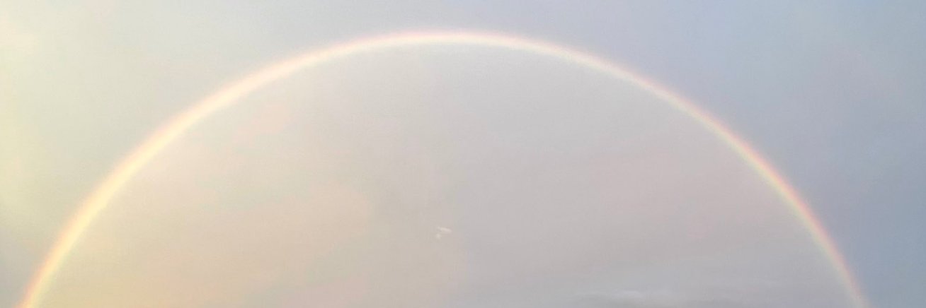 Kate O'Neil banner
