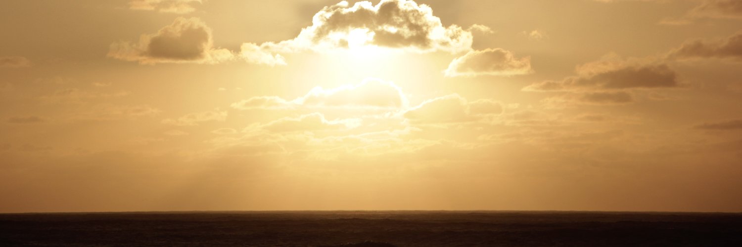 halaney's profile banner image