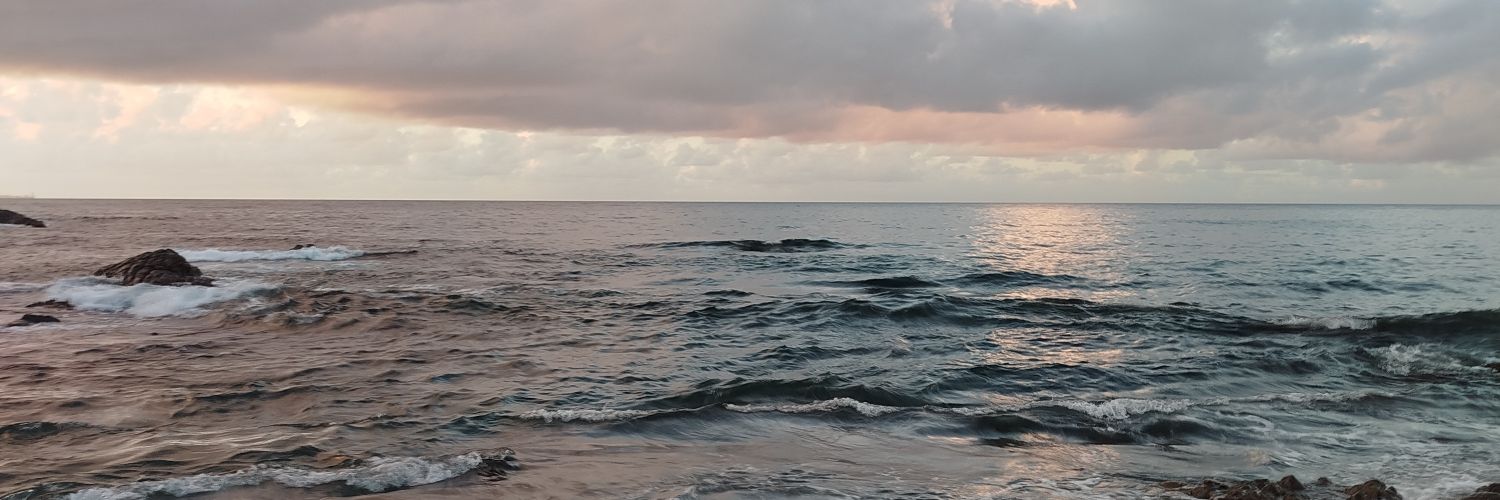 fredericoloiola's profile banner image