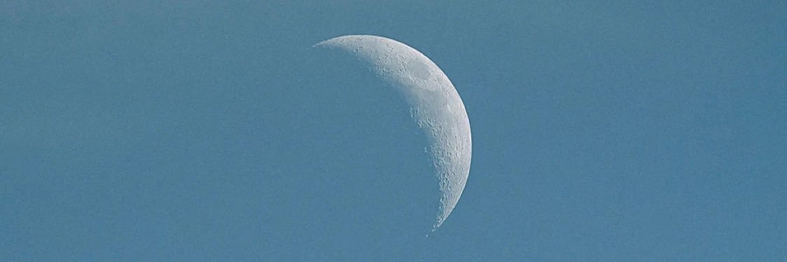 nisse 🌱 FOBSF banner