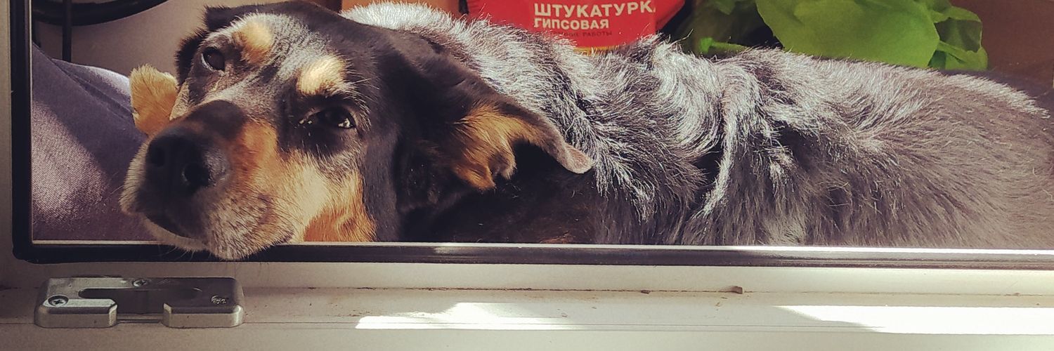 Астанинский подсвинок 🐽👑 banner