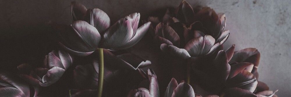Gi 🌙 banner