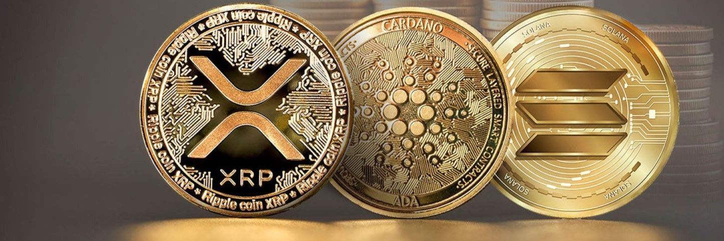 GoBabyTrader's profile banner image