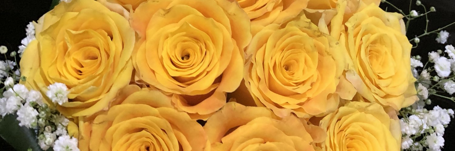 roz_22r's profile banner image