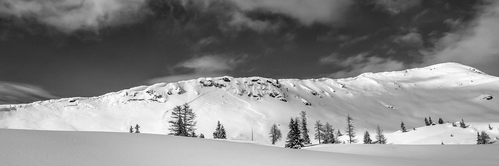 leifjensen's profile banner image