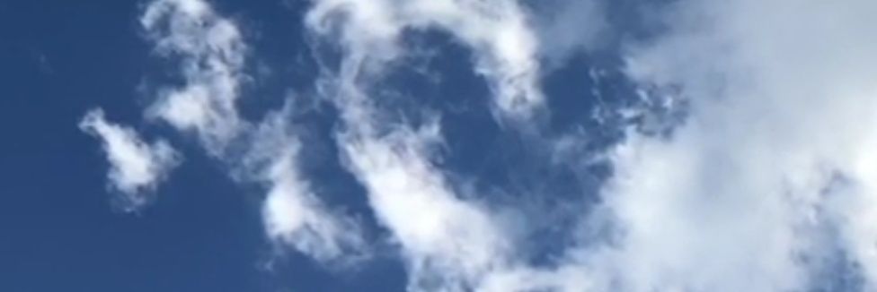 ErikaGolfi's profile banner image