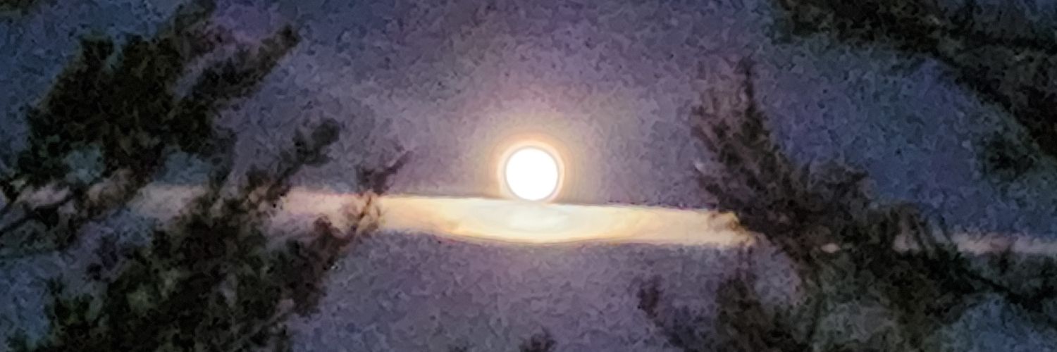 Tchello65's profile banner image