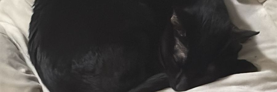 YaelMoRa17080's profile banner image
