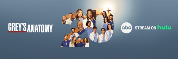 Grey's Anatomy Profile Banner