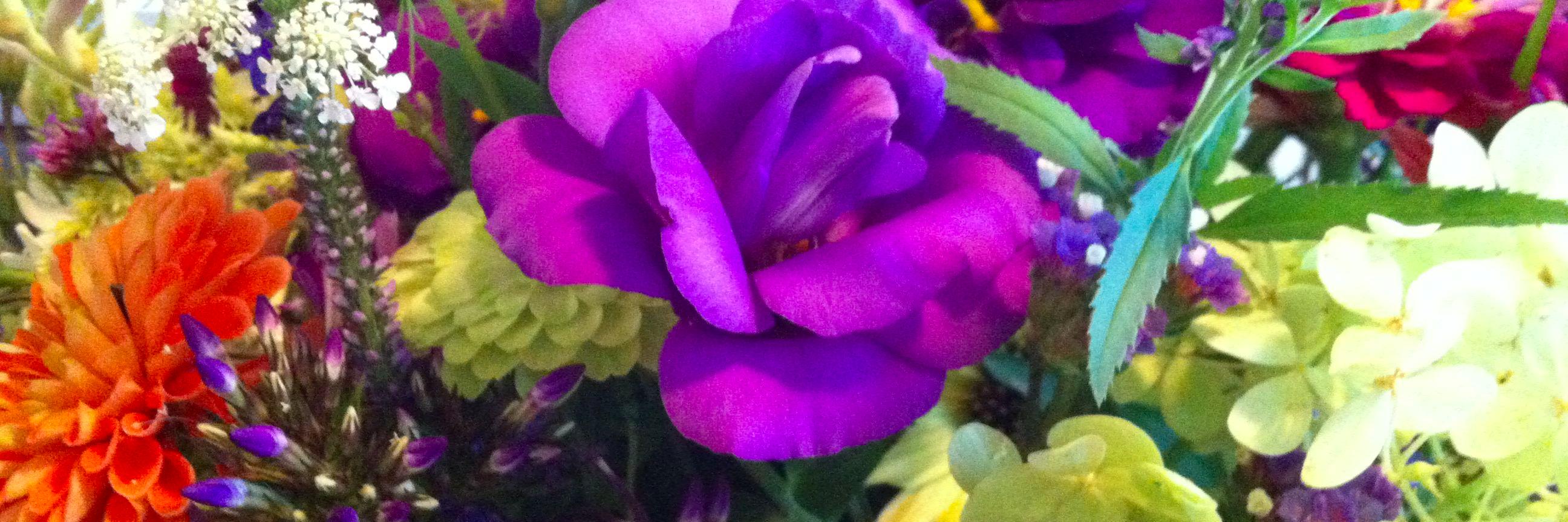 Mary Caton Lingold banner