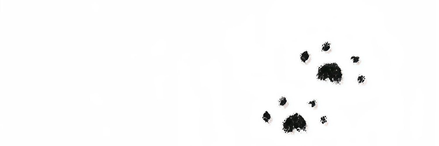 ruinsl1024's profile banner image