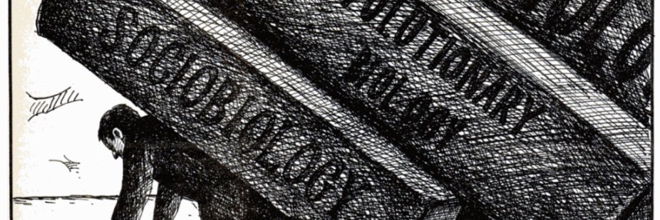 monoclemind's profile banner image