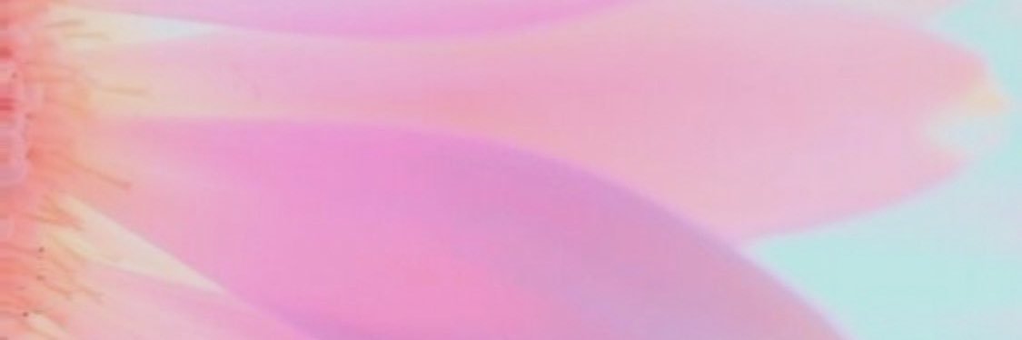 Amazongoddes1's profile banner image